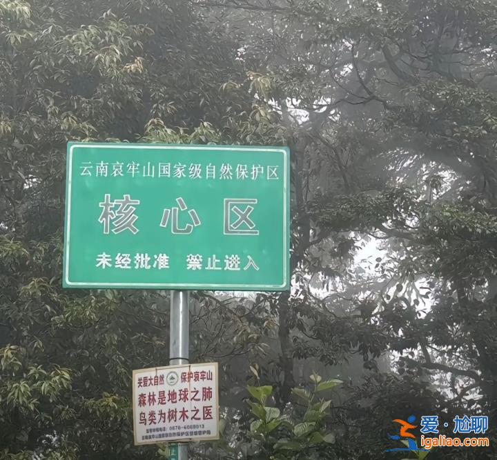 “禁区”变“景区”？云南哀牢山一夜爆火 当地发布安全提示？