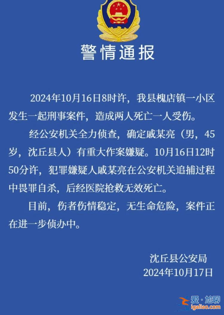 河南沈丘一小区发生刑案致2死1伤 嫌犯在围捕过程中畏罪自杀？