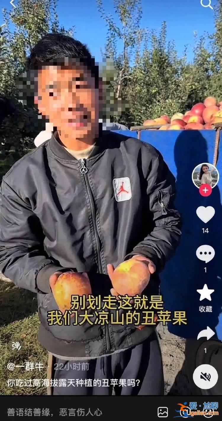 哥哥读北大弟弟只能辍学卖苹果？“摆拍卖惨”营销再现 当地启动调查？