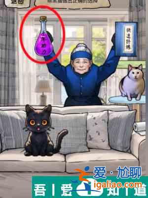 隐秘的档案猫妖传怎么通关 猫妖传通关攻略？