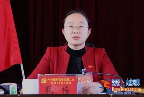 副省级赵金云、正厅级包东红先后被查 政坛还有这些落马夫妻档？