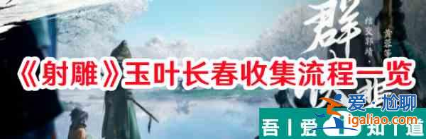 射雕玉叶长春怎么收集 射雕玉叶长春收集流程一览？