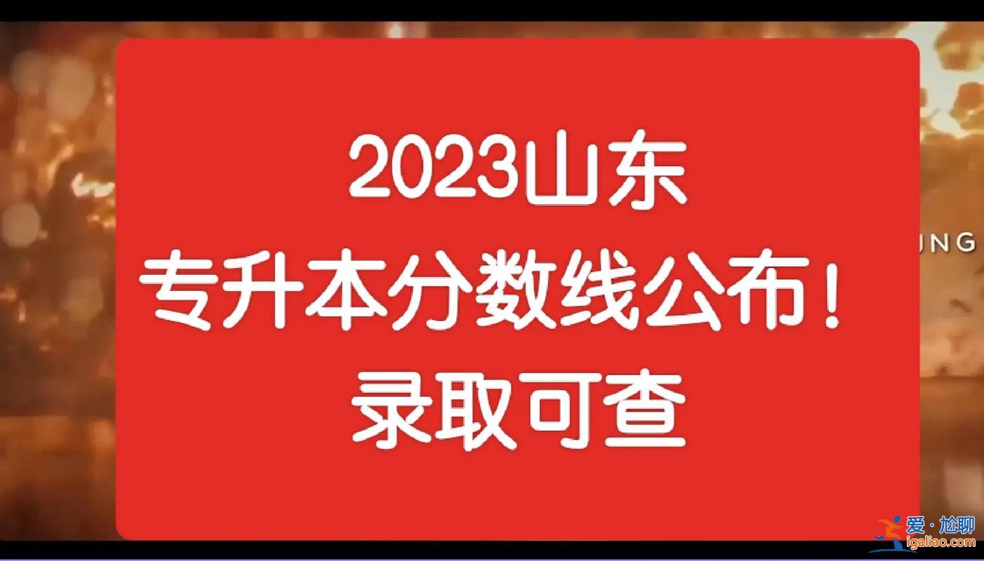 山东专升本up(山东专升本2023公办录取分数线)？