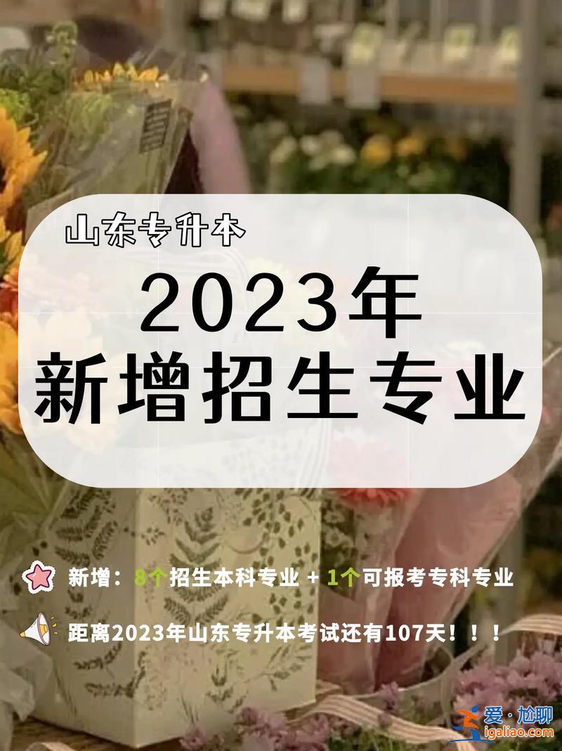 山东专升本240？2023山东专升本考了249能报什么学校？