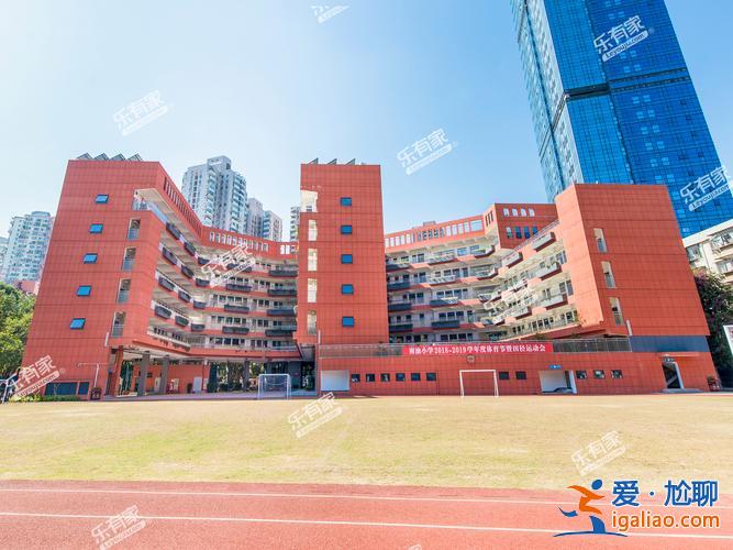 深圳南油小学升学率(深圳哪里的小学学位比较好)？