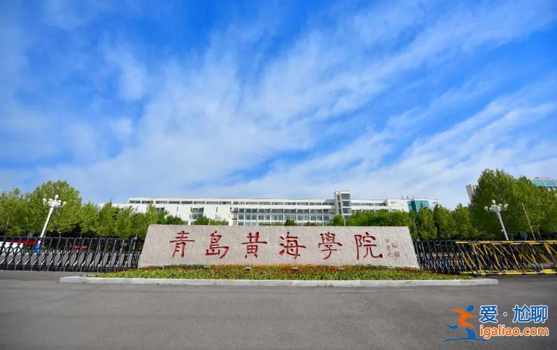 日照黄海高中升学率多少(青岛黄海学院升学率怎么样)？