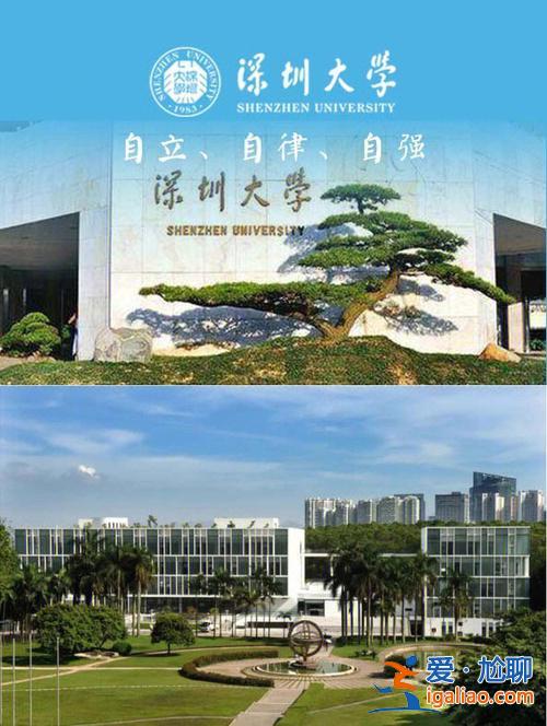 深圳大学本科升学比例，深圳大学适合普通家庭吗？