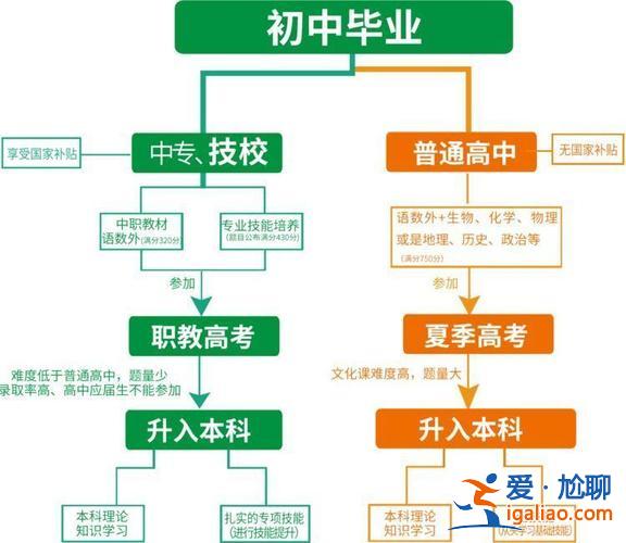 职教的升学方向有哪些专业(职教高考学什么专业)？