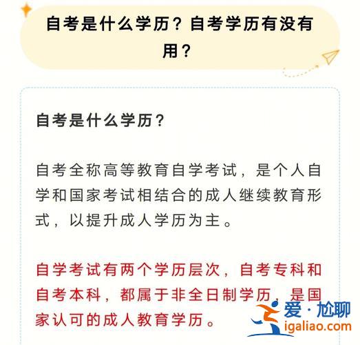 是先学技术还是升学历(没有学历学什么好)？