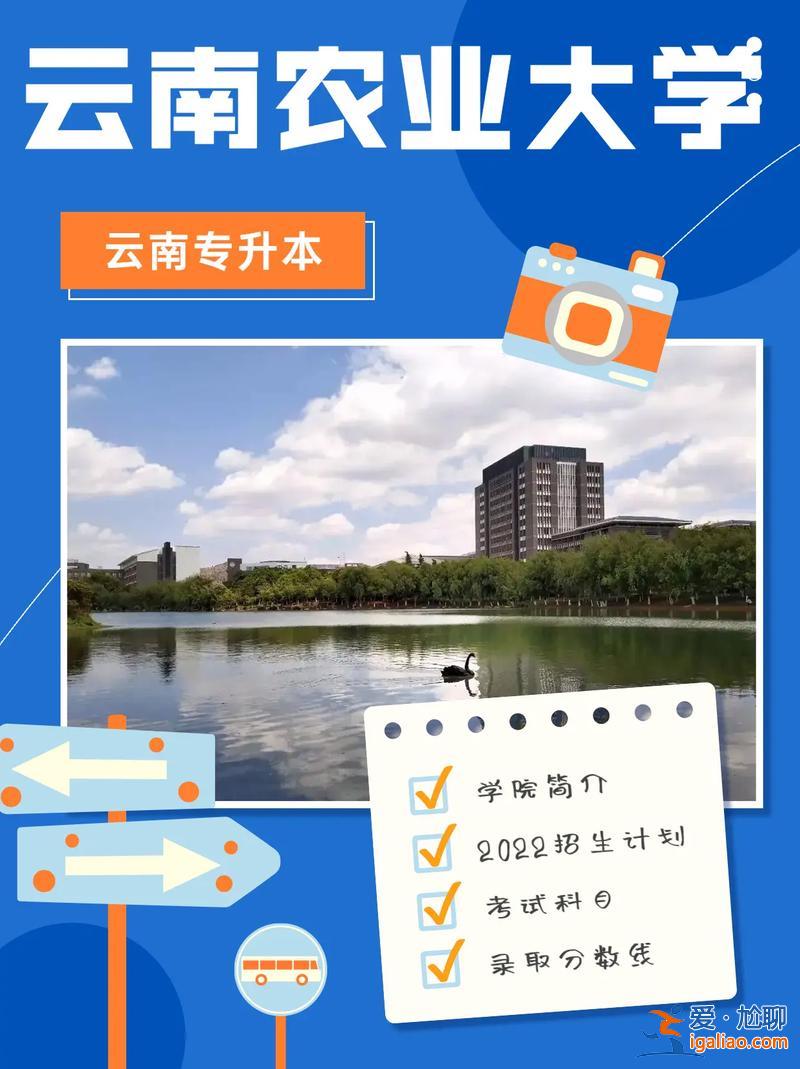 云南农学专升本 云南农业大学专科可以升本吗？