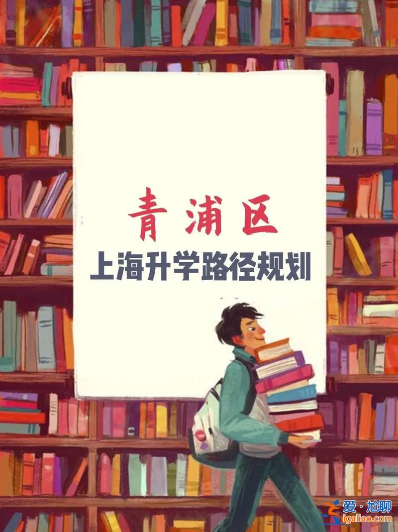 入学升学政策指的是什么？政保升学是怎么回事？