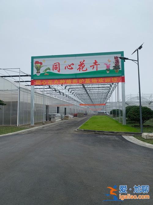 夏溪中学升学率排名，全国花卉种植基地排名？