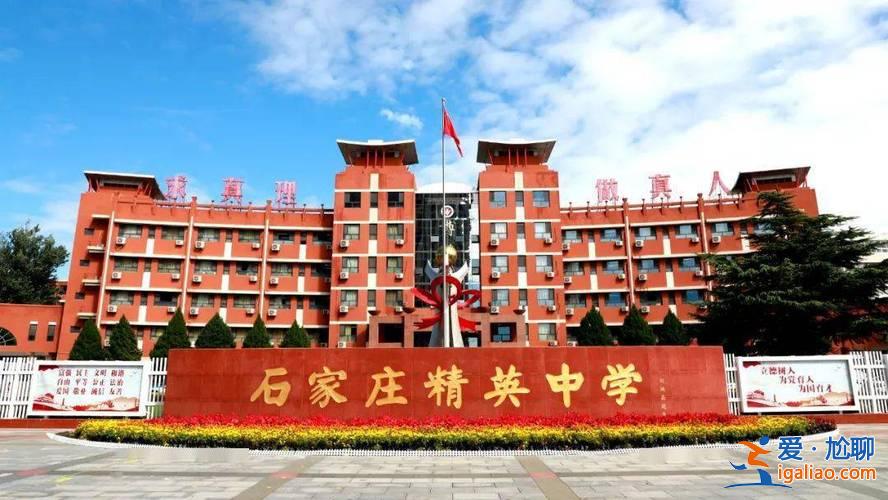 精英中学升学率？石家庄精英中学和精英未来哪个好？