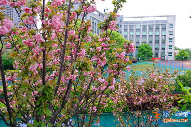 醴陵陶瓷学校对口升学部？醴陵陶瓷烟花职业学校是高中吗？